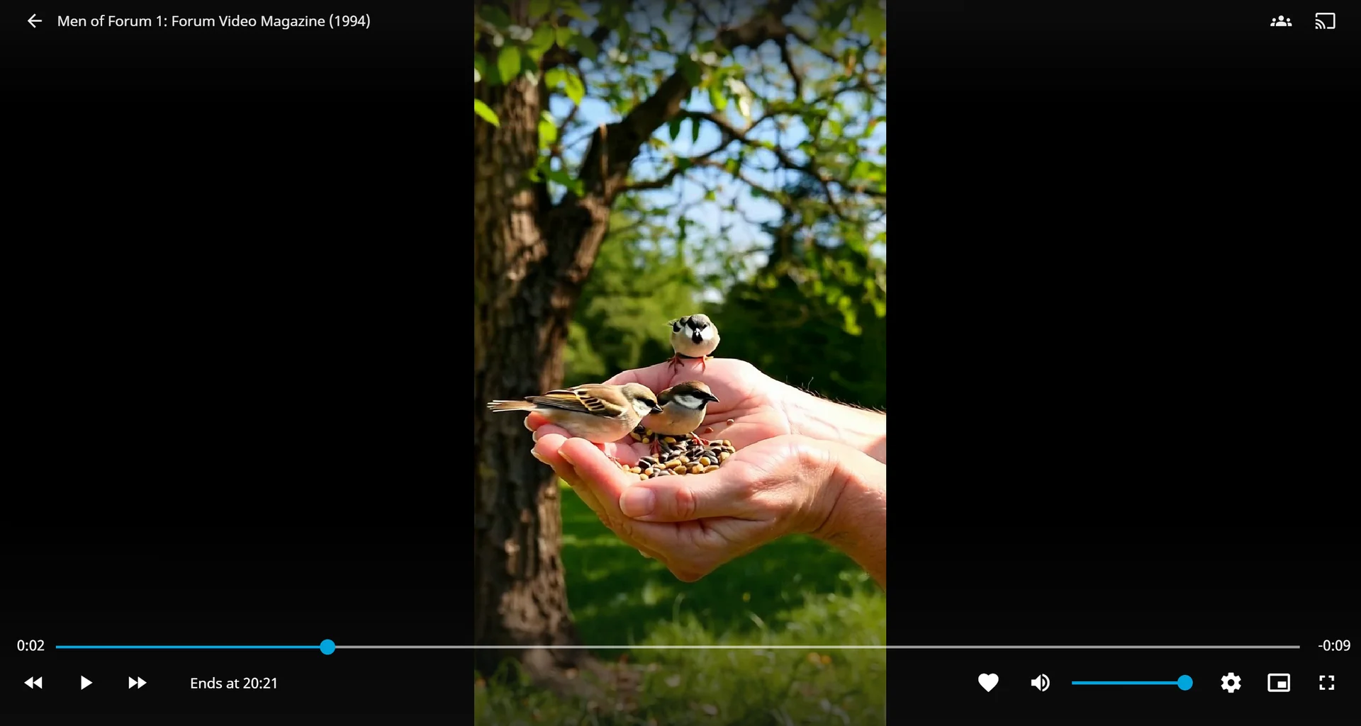 Jellyfin video player showing transcoding stats and subtitle/audio track selection